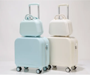 cartoon luggage