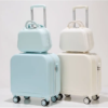 Customizable 18-inch travel case