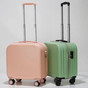 18-inch portable travel case